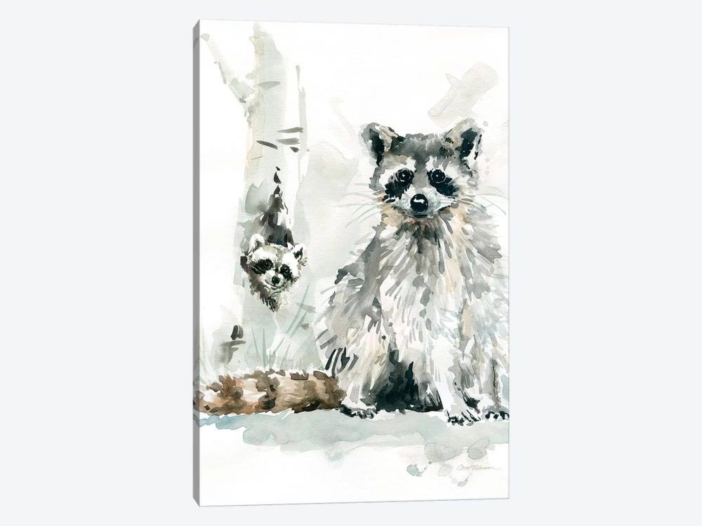 Canvas Art Raccoon and Baby Print K841081