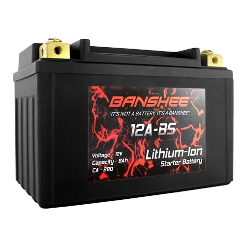 Motorcycle Battery L46275