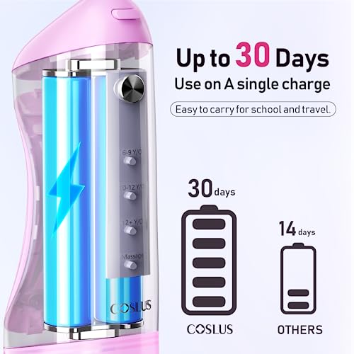 Portable Water Dental Flosser with 4 Jet Tips E941