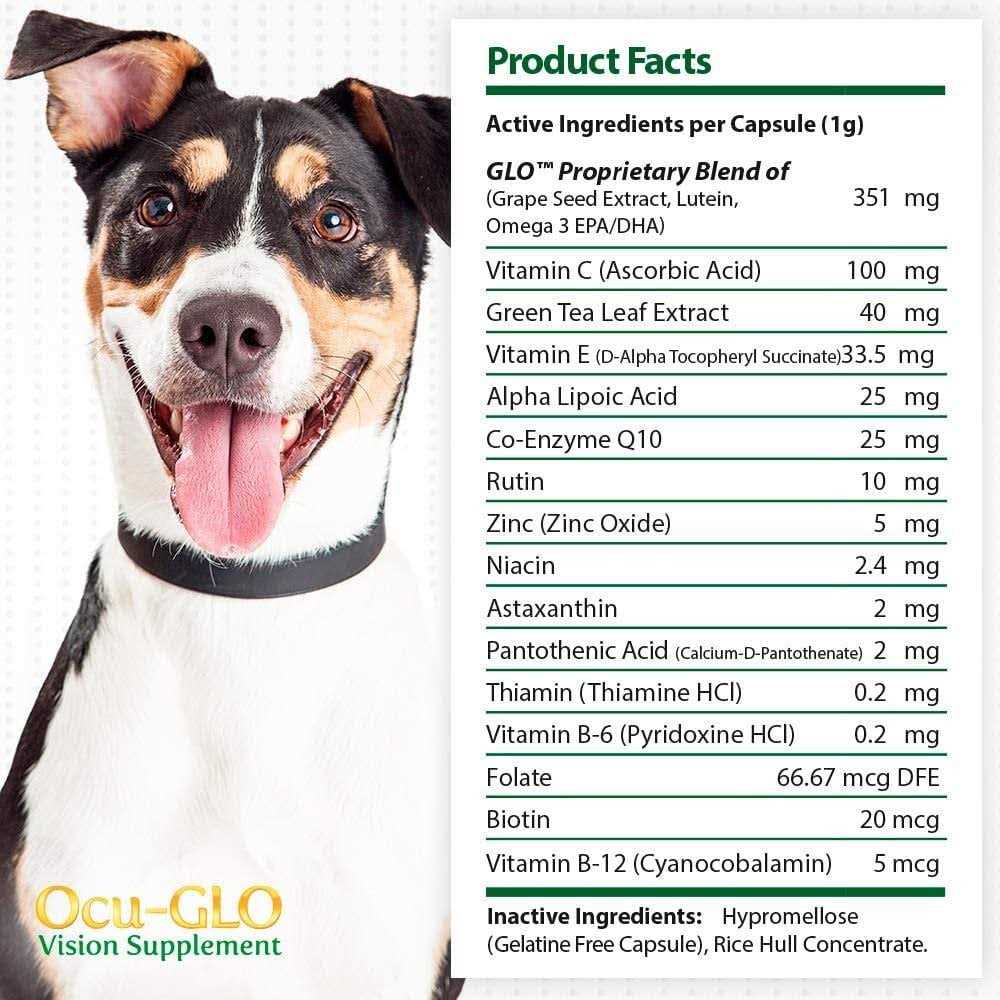Powder Blend Vision Supplement for Dogs E821454