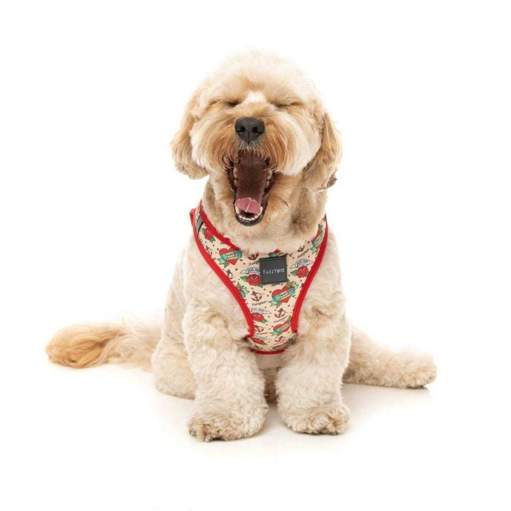 Step Harness U829698