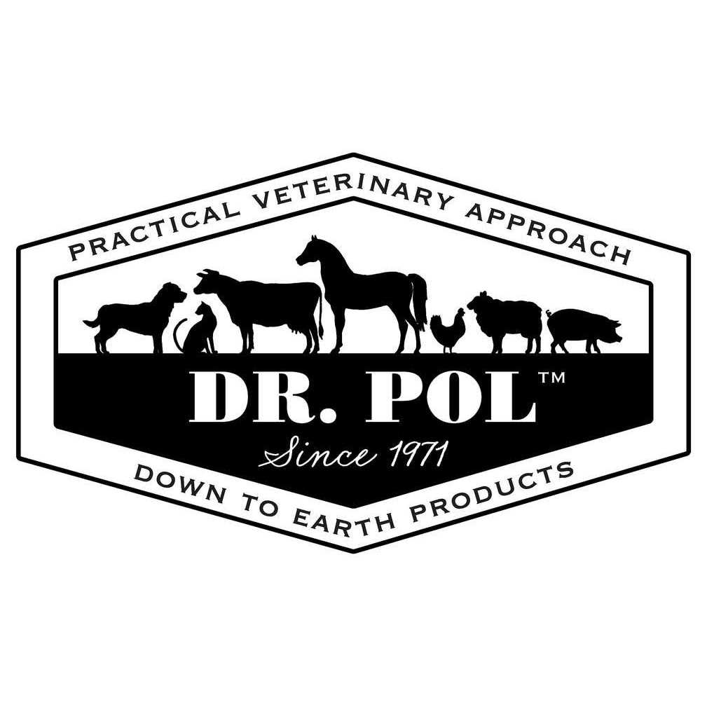 Chicken Recipe Dry Dog Food V580229