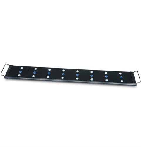 36-48x22 LED Strip Light L966304