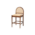 Natural Rattan and Acacia Wood Counter Stool L58603