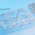 Clear Polystyrene 6 Well Microplate with Lid F444