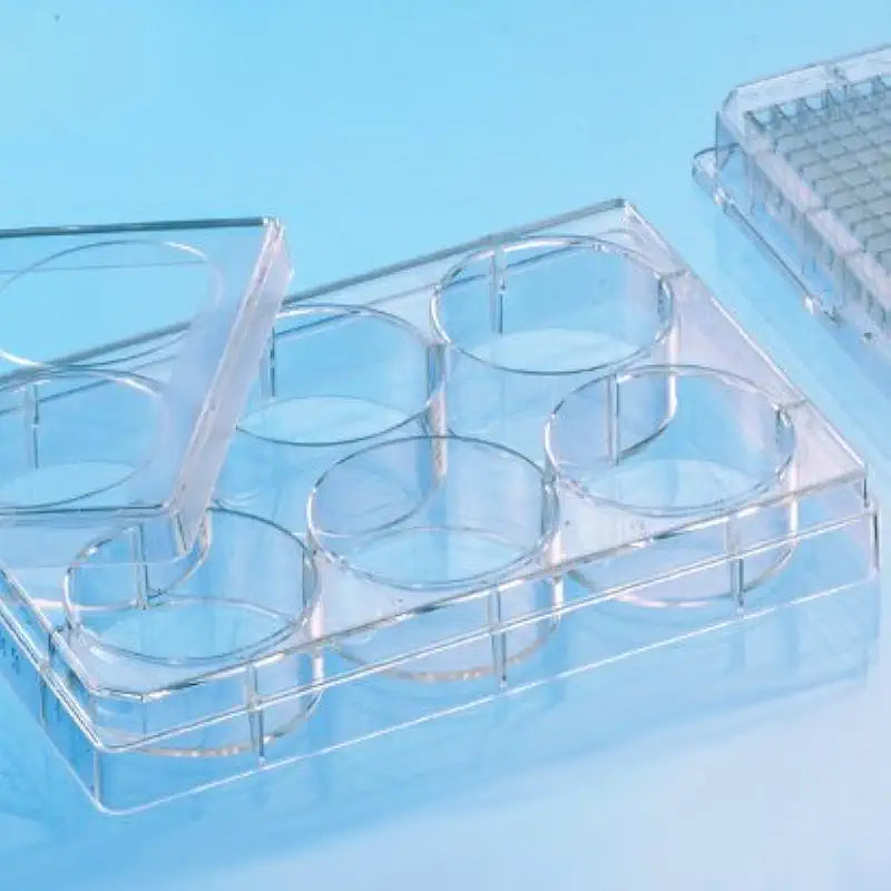 Clear Polystyrene 6 Well Microplate with Lid F444