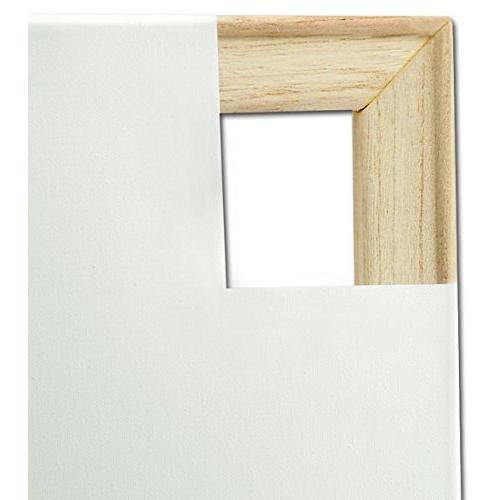 Cotton Canvas 20x24x22 V46569