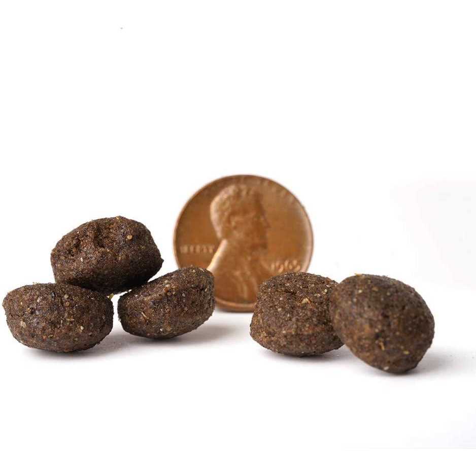 Dry Dog Food Y474