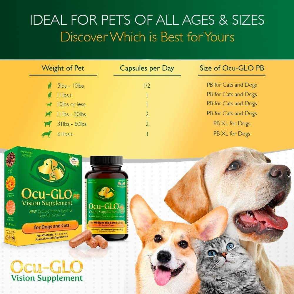 Powder Blend Vision Supplement for Dogs E821454