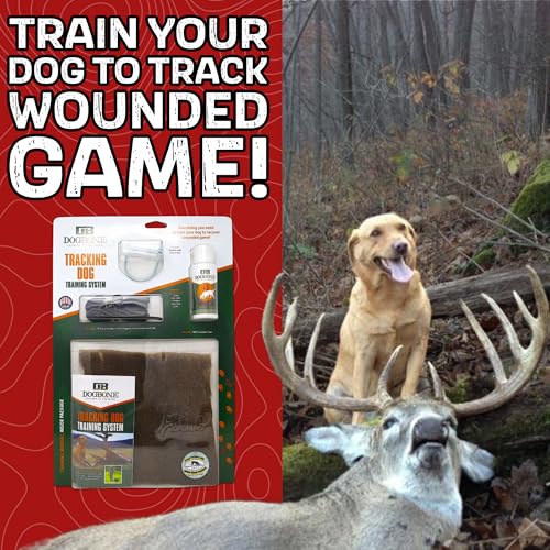 Dog Training Kit V256092