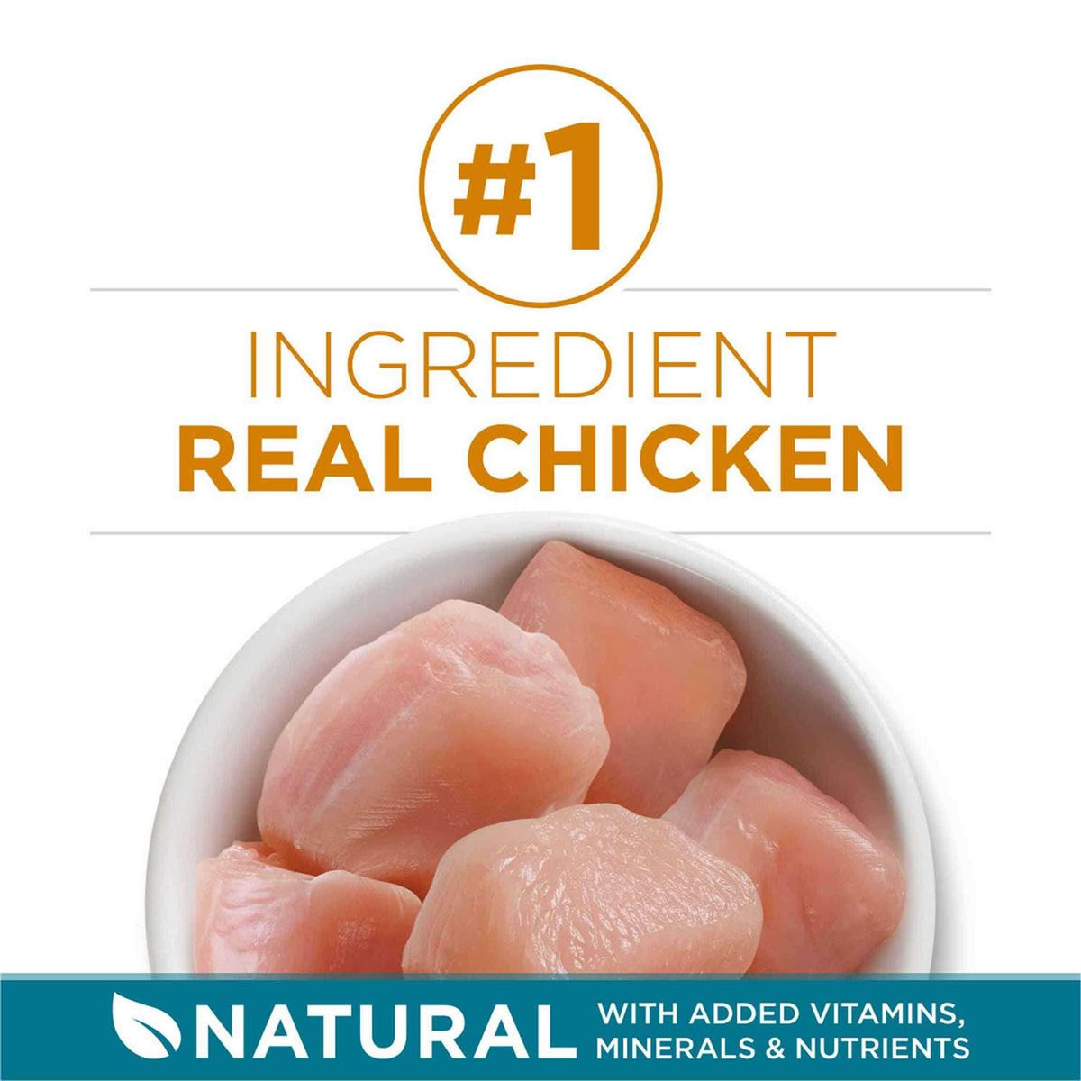 Dry Cat Food With Real Chicken C812267