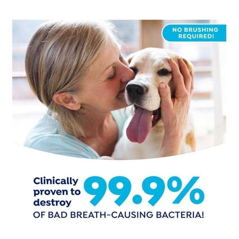 Fresh Dental Gel Toothpaste for Dogs & Cats F63088