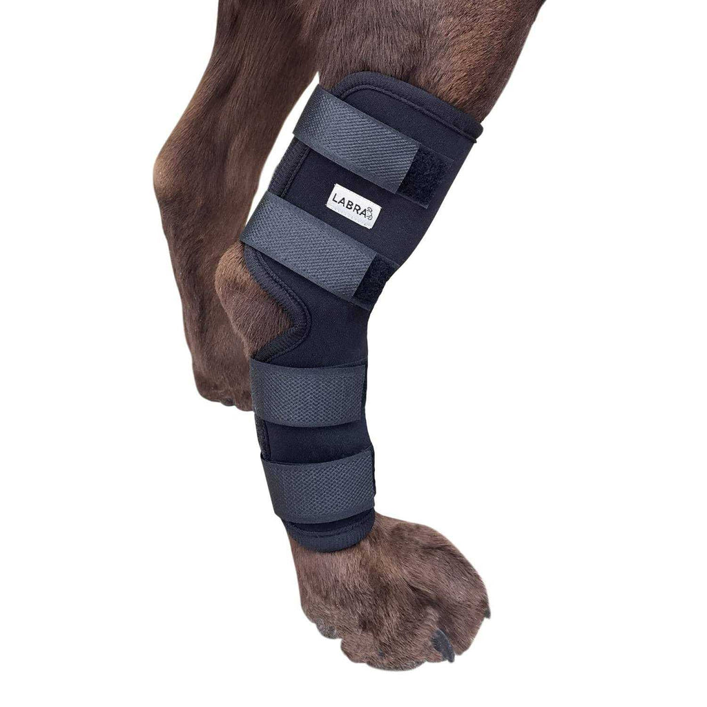 Dog Rear Leg Hock Joint Compression Wrap N8825