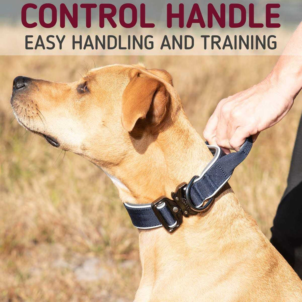 Heavy-Duty Adjustable Dog Collar with Handle T642