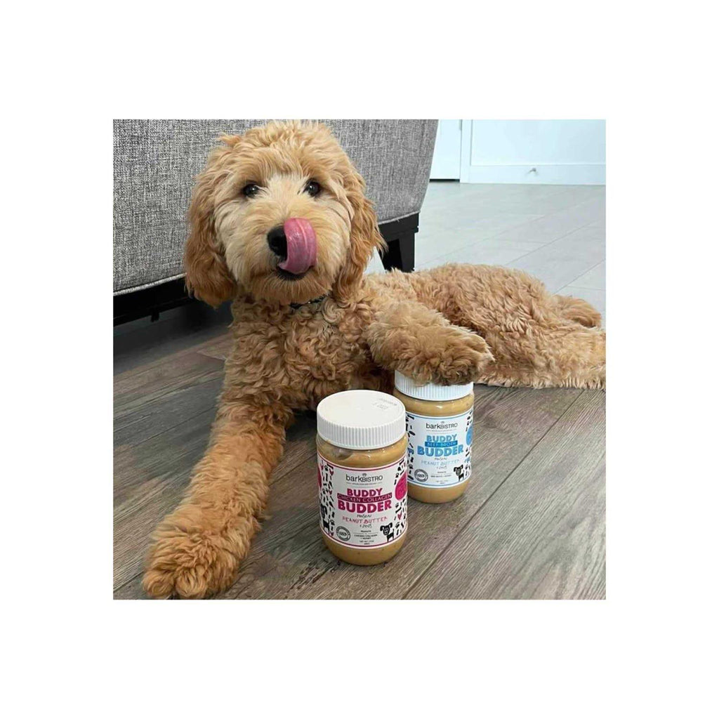 Beef Broth Dog Treat X604