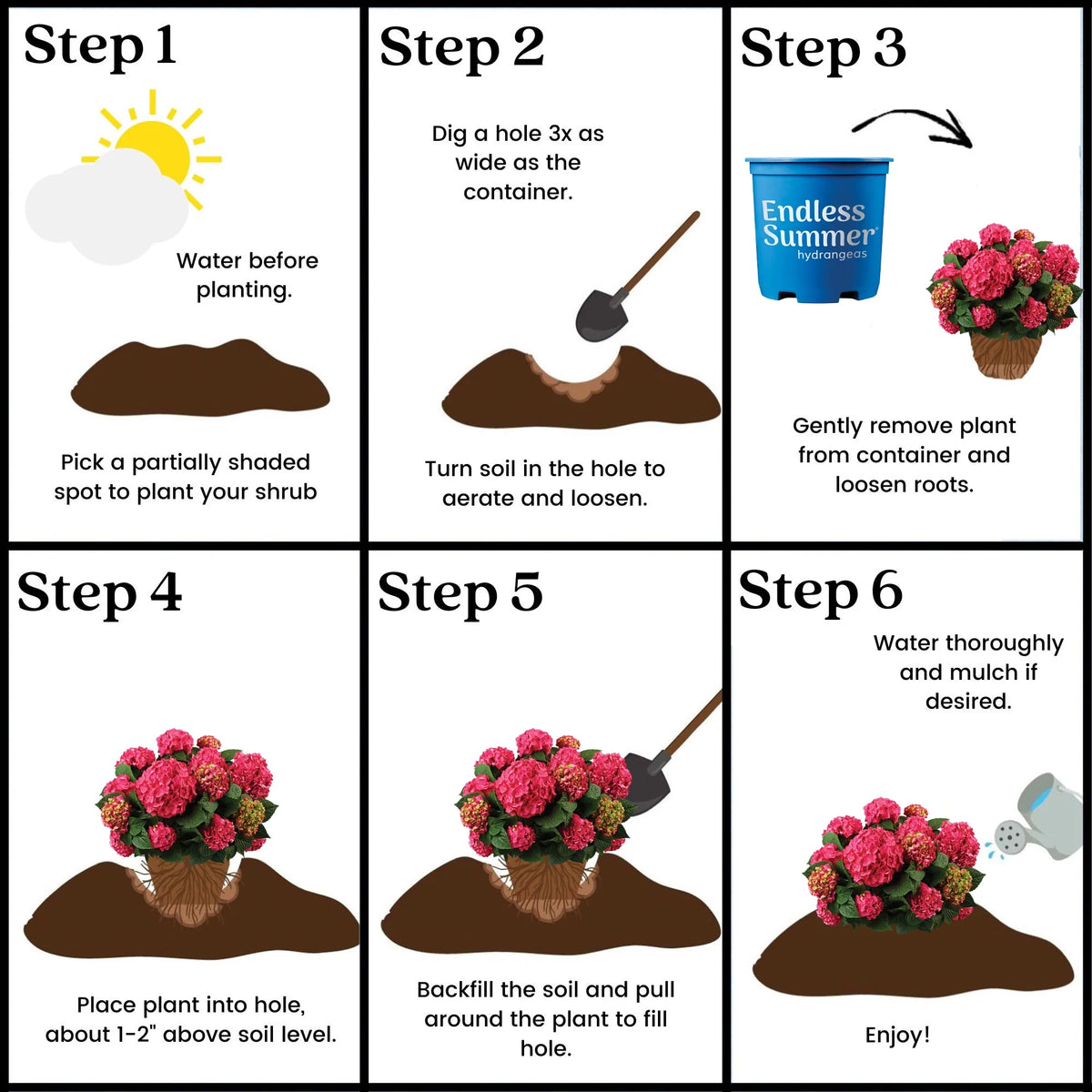 Hydrangea Live Shrub 1 Gallon Z620