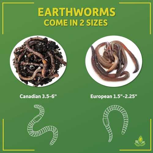 Canadian Nightcrawlers Live Reptile Food, 12 count X540