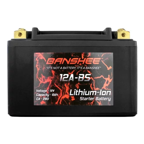Motorcycle Battery L46275