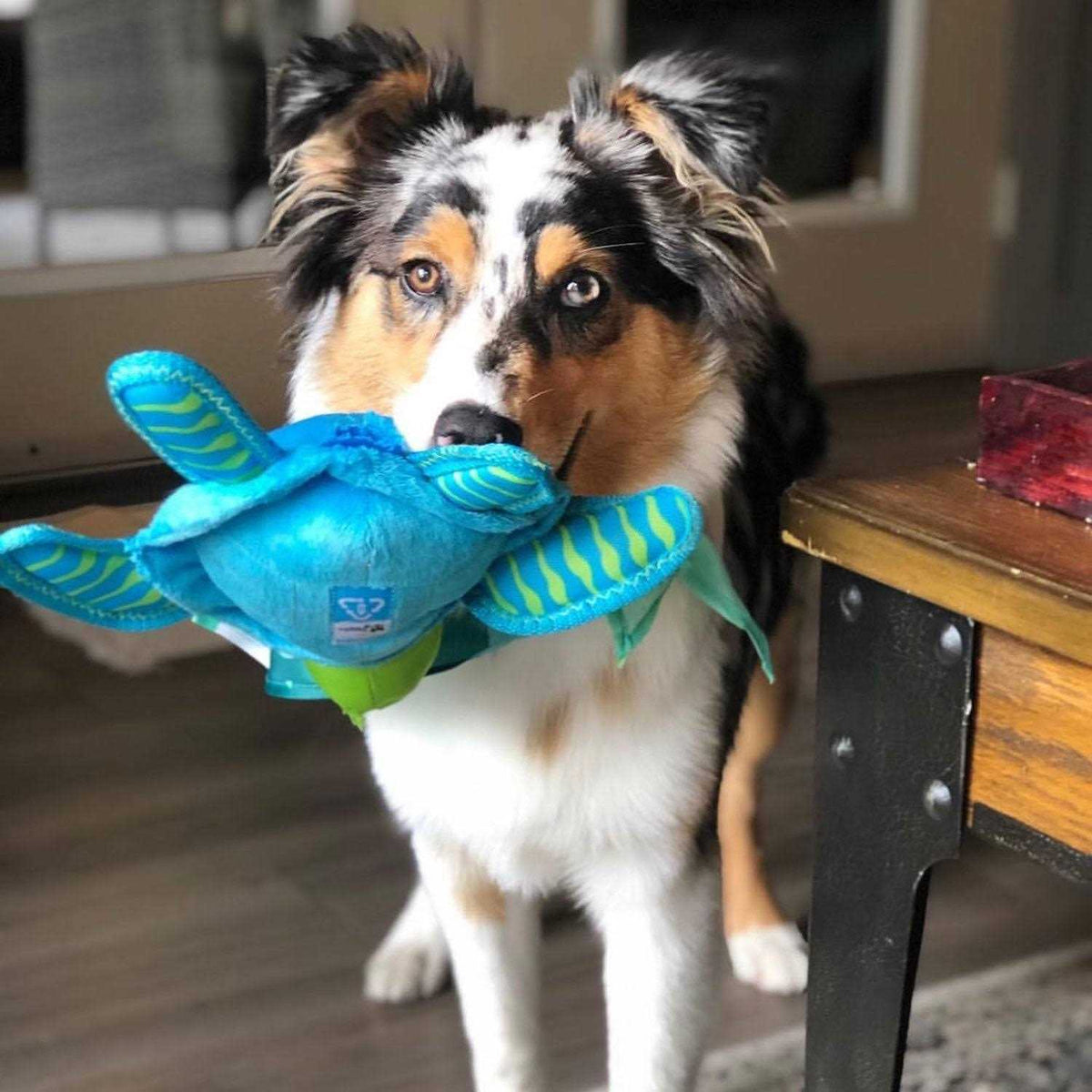 Clean Earth Plush Turtle Dog Toy S828