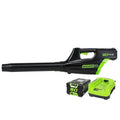 80V Cordless Blower with Battery and Charger T9116