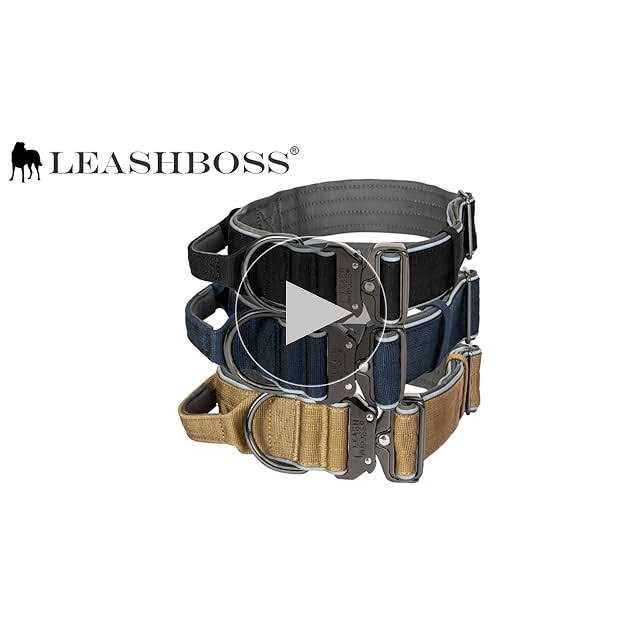 Heavy-Duty Adjustable Dog Collar with Handle T642