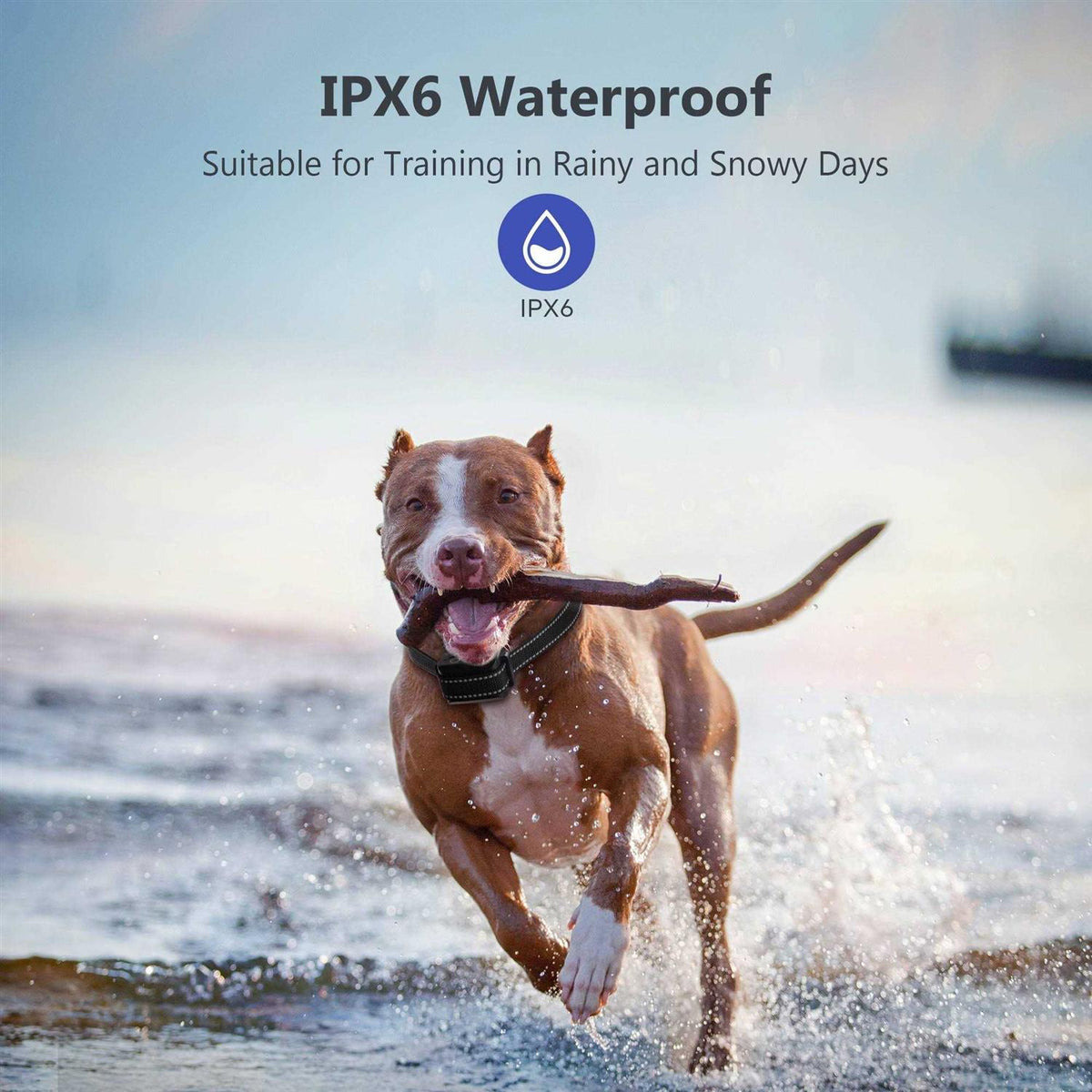 Waterproof Dog Bark Collar P3213