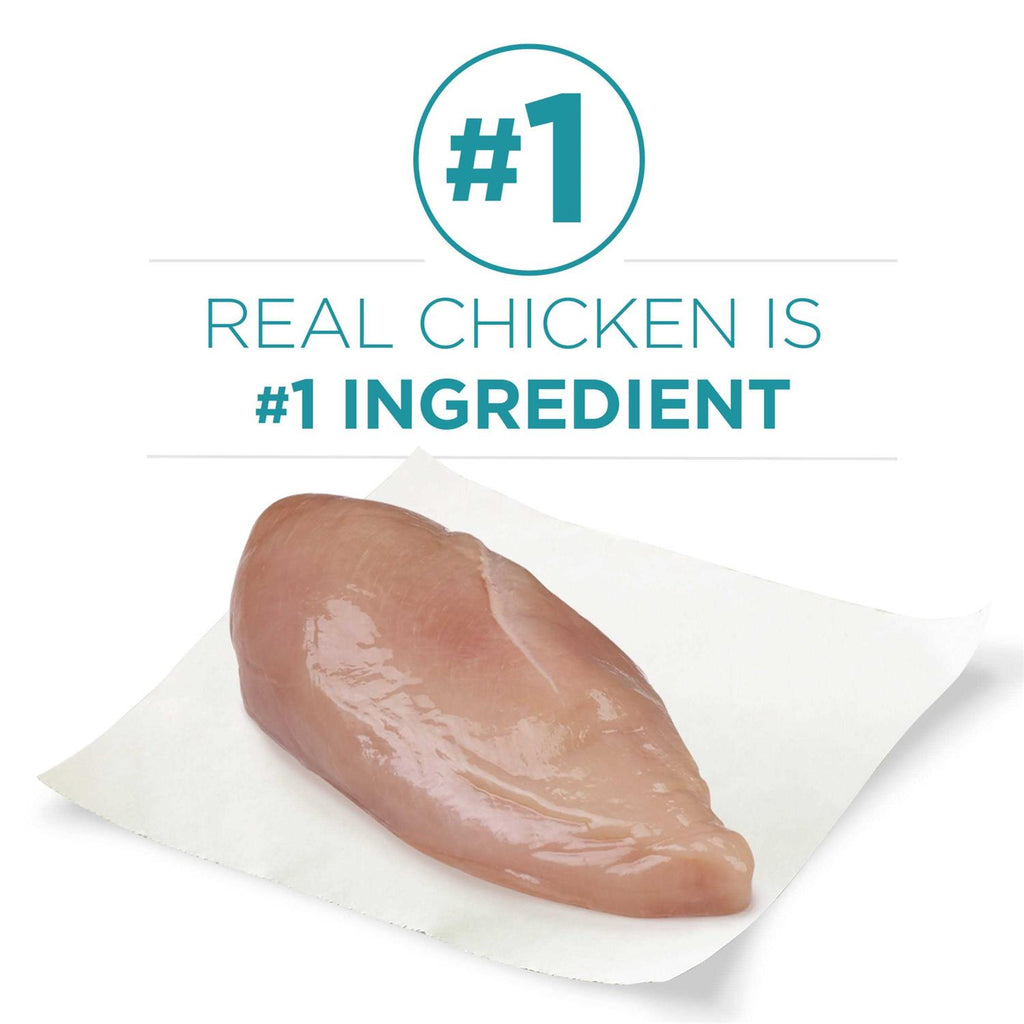 Dry Cat Food With Real Chicken C812267