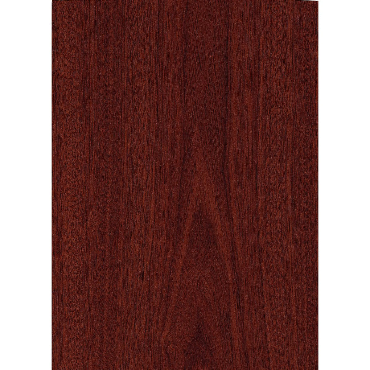 Mahogany Storage Cabinet T58400