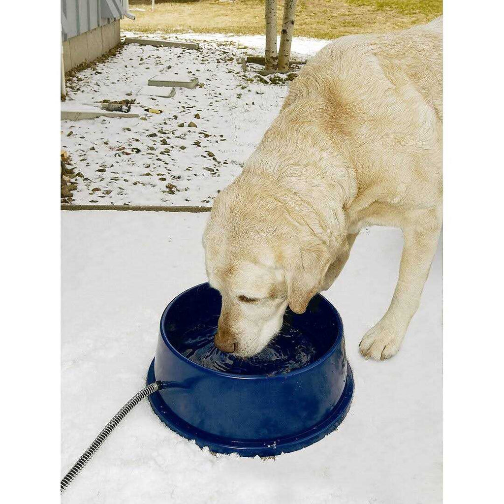 Thermal Pet Bowl N3917