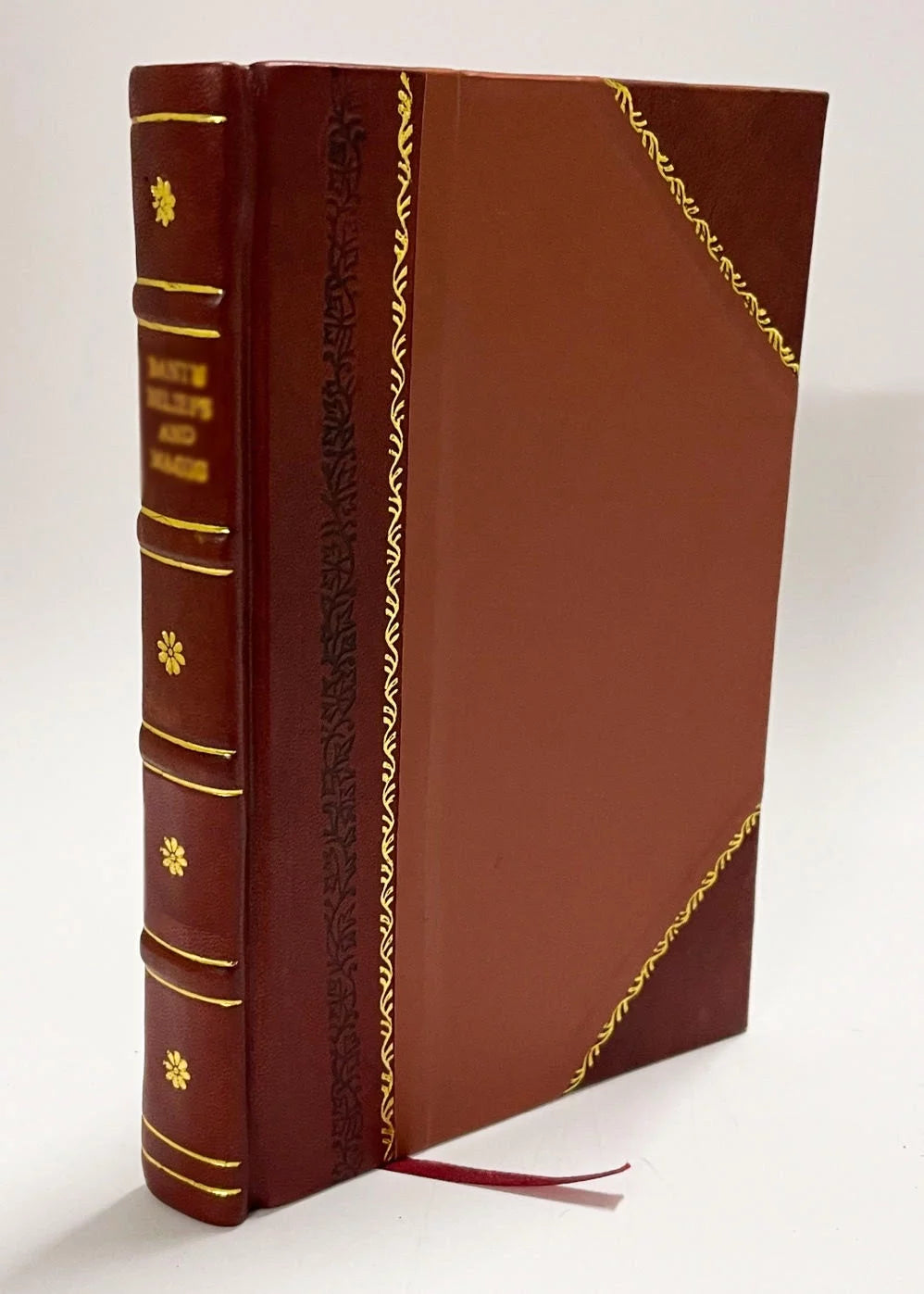 Life Insurance Company Mortality Experience Leather Bound G6376