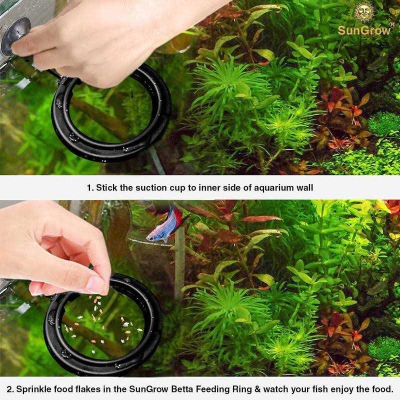 Betta & Goldfish Food Pellets & Flakes Fish Feeding Ring S944896