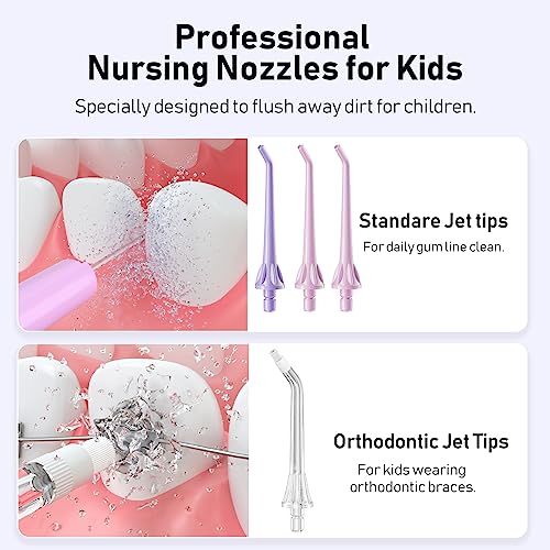 Portable Water Dental Flosser with 4 Jet Tips E941