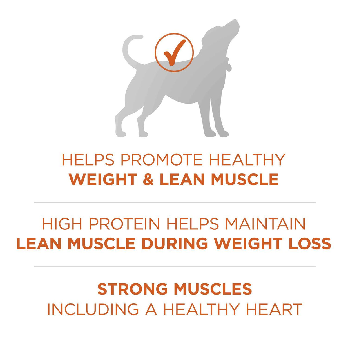 Healthy Weight Dry Dog Food P808308