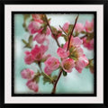 Photographic Print 32x22 Black Framed O17065