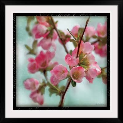Photographic Print 32x22 Black Framed O17065