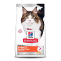 Adult Cat Dry Food Salmon R48617