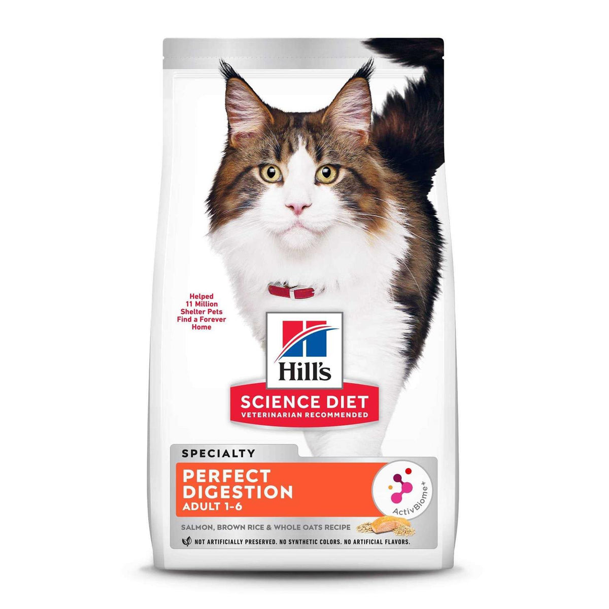 Adult Cat Dry Food Salmon R48617