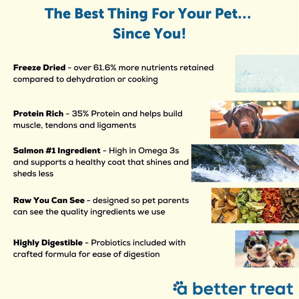 Salmon Raw Dog Food L487