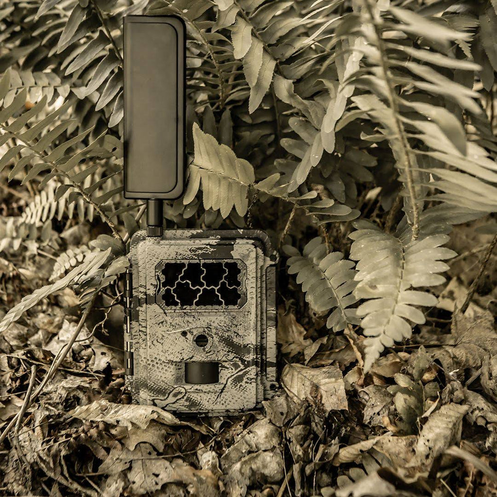 Blackout Cellular Camera 4G-LTE R905691