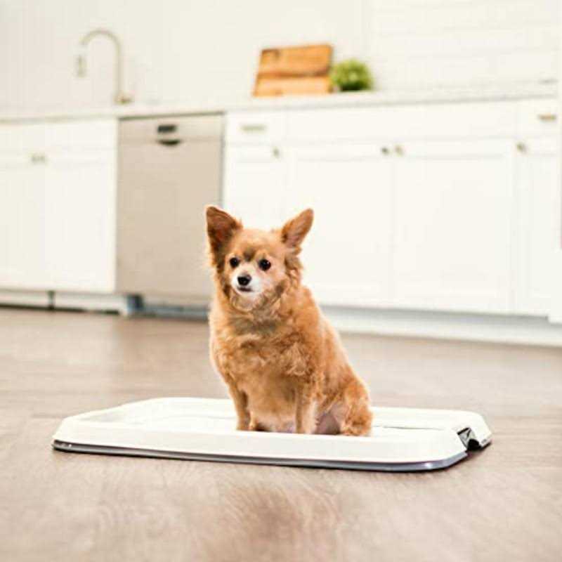 Square Pet Training Pad Holder V605942