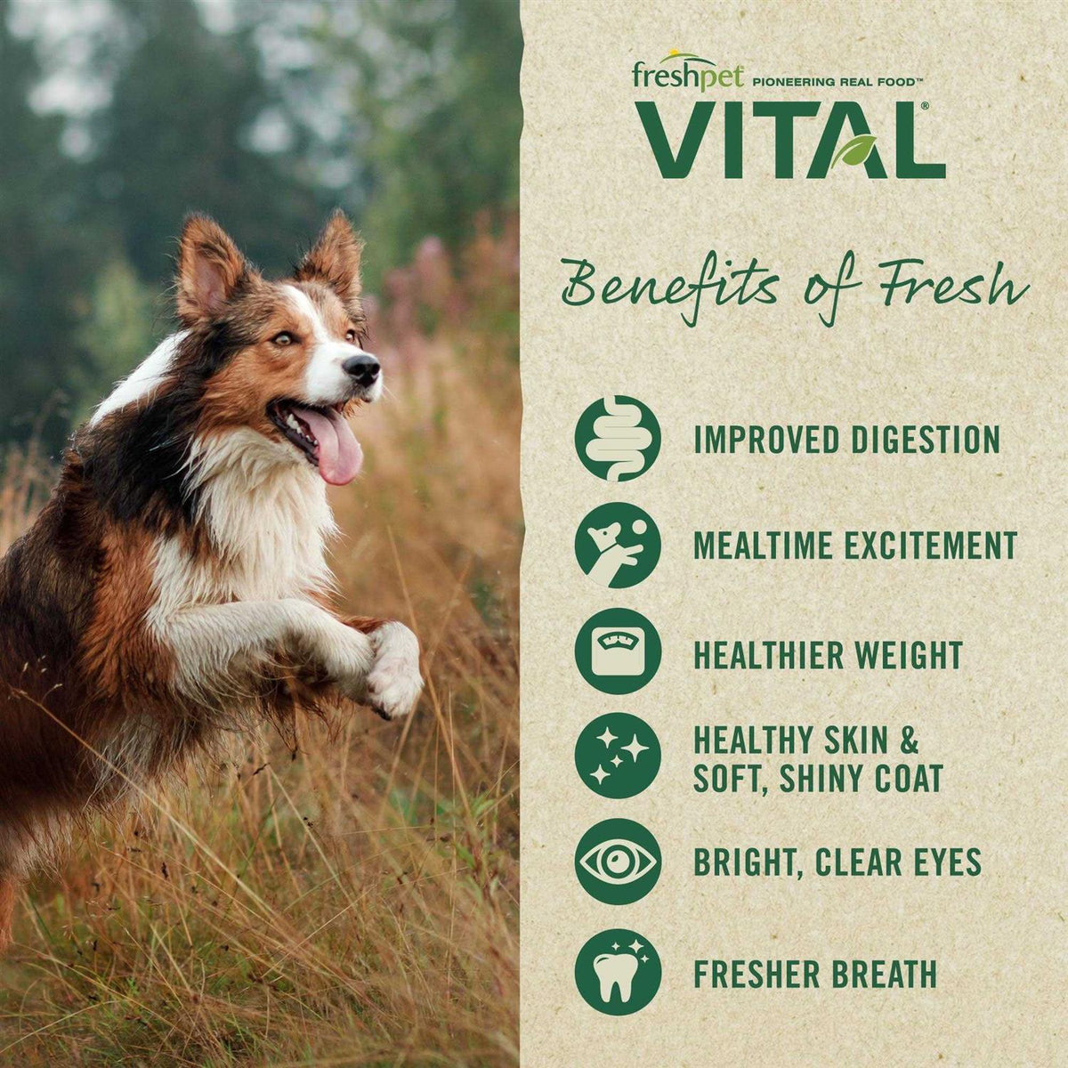 Grain-Free Beef & Bison Fresh Dog Food U79359