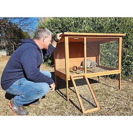 Rabbit Hutch T5593