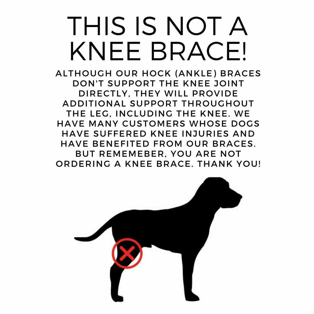 Dog Rear Leg Hock Joint Compression Wrap N8825