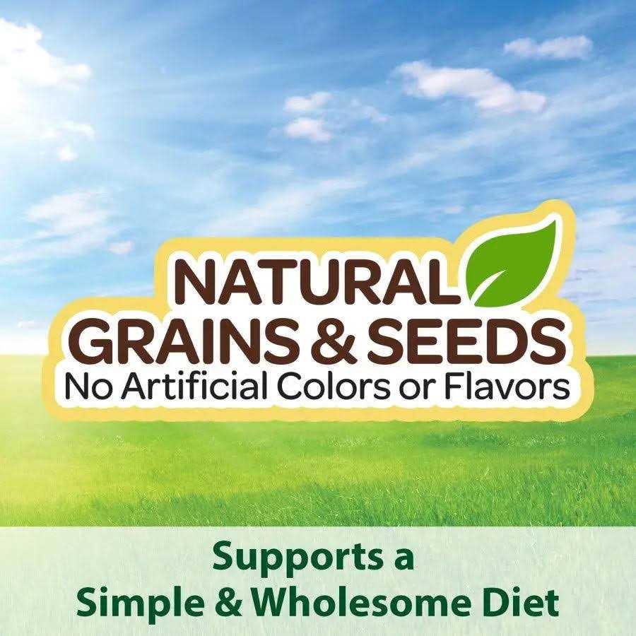 Parrot Food R94702