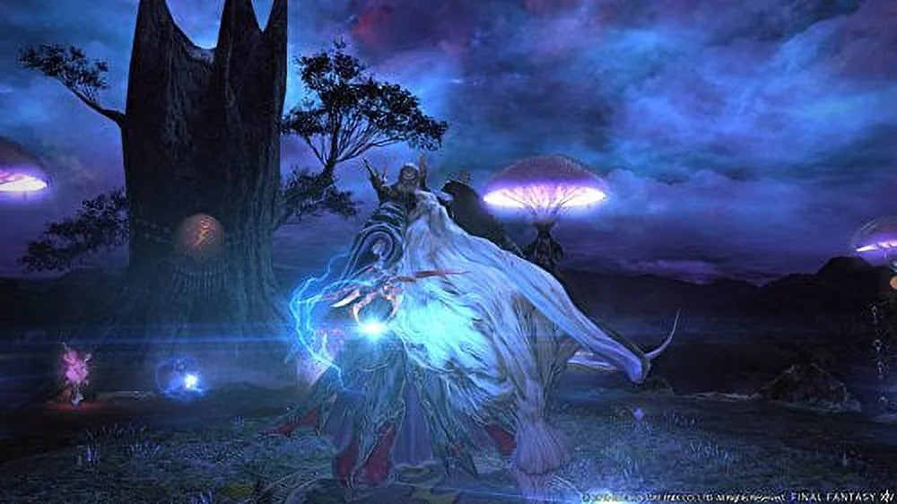 Final Fantasy XIV Online Starter Edition (PS4) C73476