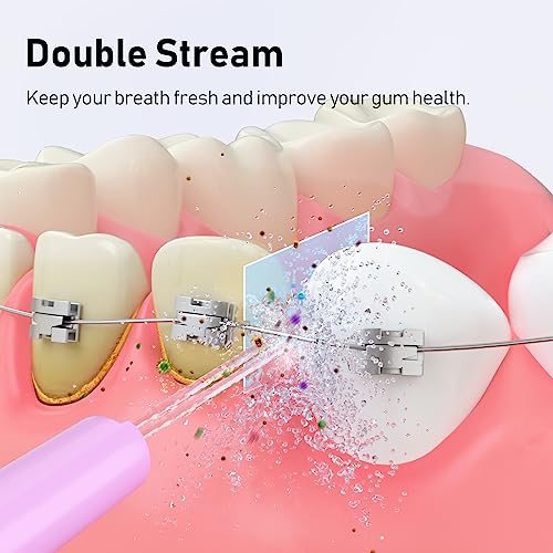 Portable Water Dental Flosser with 4 Jet Tips E941