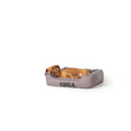 4-Sided Cuddler Dog Bed C559078