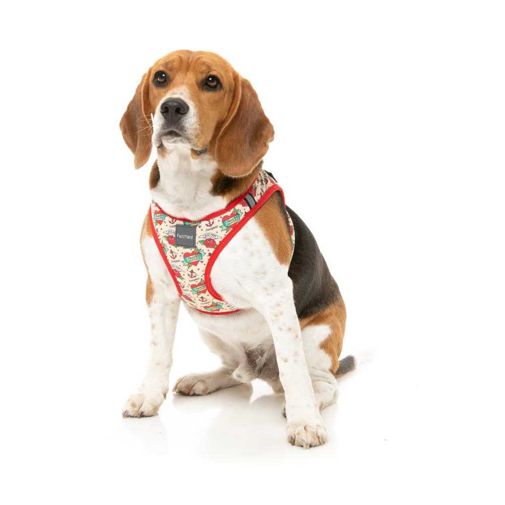 Step Harness U829698