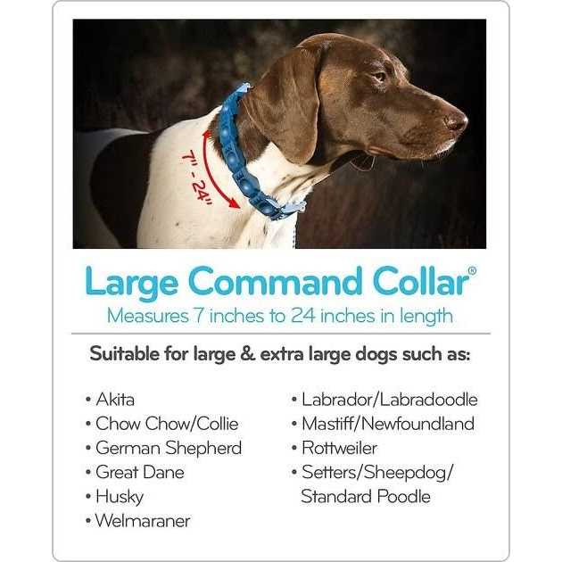 Dog Training Collar Medium Large B307725