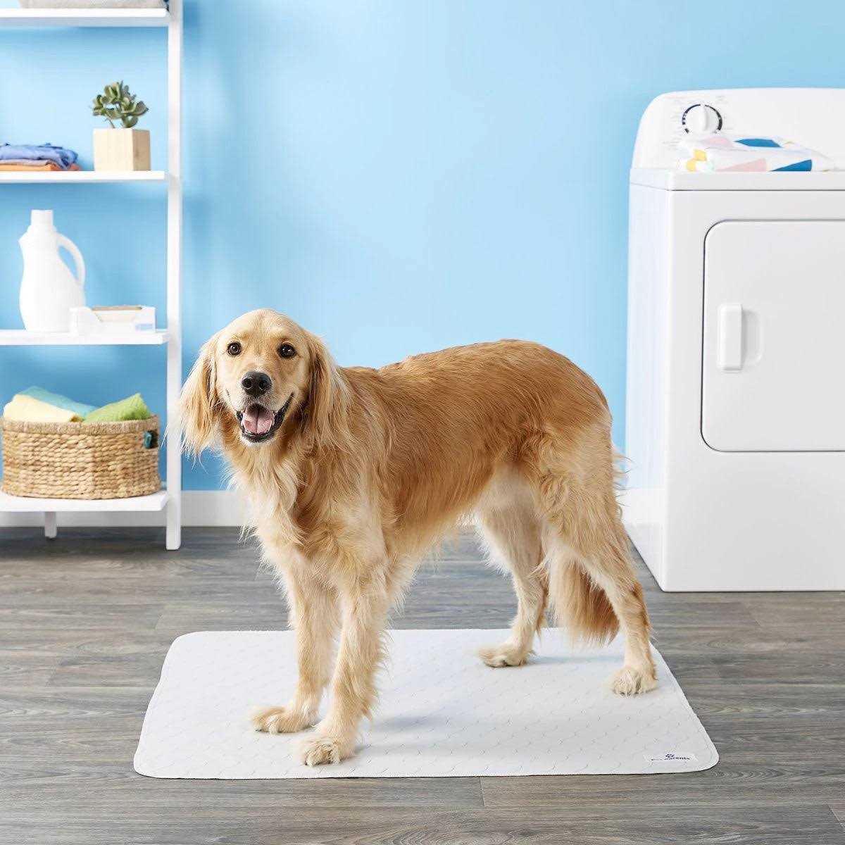 Washable Dog Pee Pads X81577